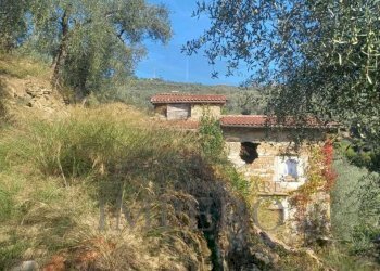 rustico - Agricultural land Dolceacqua - photo 9