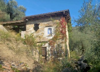rustico - Agricultural land Dolceacqua - photo 11