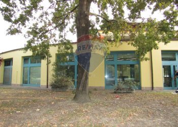 Negozio Viale Fratelli Cervi, 2/e 
 Correggio, Correggio - foto 5