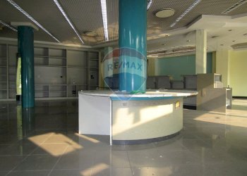 Negozio Viale Fratelli Cervi, 2/e 
 Correggio, Correggio - foto 7