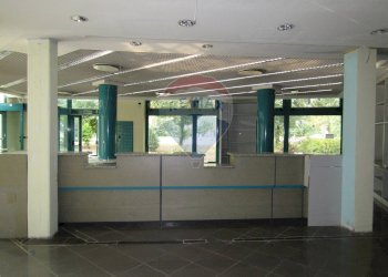 Negozio Viale Fratelli Cervi, 2/e 
 Correggio, Correggio - foto 11