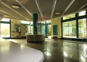 Negozio Viale Fratelli Cervi, 2/e 
 Correggio, Correggio - foto 12