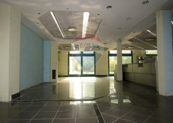 Negozio Viale Fratelli Cervi, 2/e 
 Correggio, Correggio - foto 13