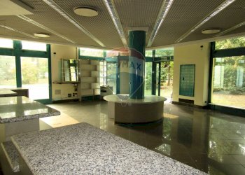 Negozio Viale Fratelli Cervi, 2/e 
 Correggio, Correggio - foto 21