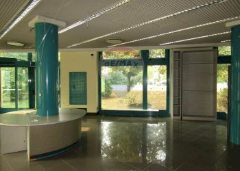 Negozio Viale Fratelli Cervi, 2/e 
 Correggio, Correggio - foto 22