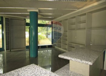 Negozio Viale Fratelli Cervi, 2/e 
 Correggio, Correggio - foto 23