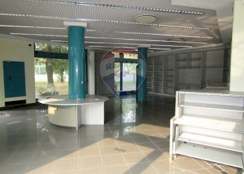 Negozio Viale Fratelli Cervi, 2/e 
 Correggio, Correggio - foto 24