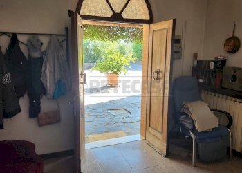 20231002_155415.jpg - Terratetto - Terracielo Via I Maggio, San Miniato - foto 7