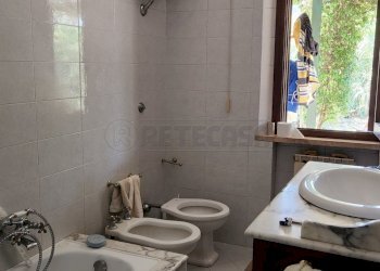 20231002_155403.jpg - Terratetto - Terracielo Via I Maggio, San Miniato - foto 14