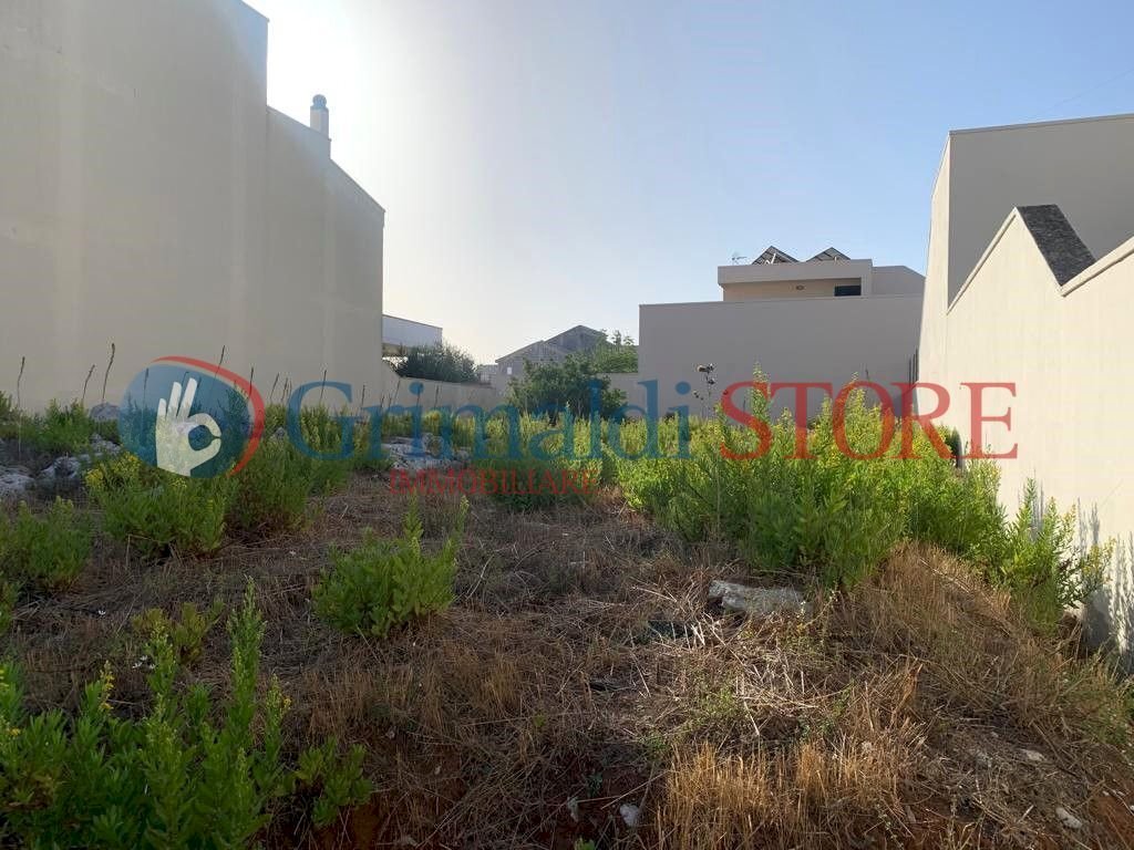 WhatsApp Image 2023-10-10 at 08.54.01-2_risultato. - Building land Tito Schipa, Scorrano - photo 3