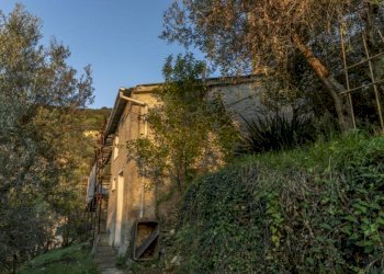Rustico Bogliasco - foto 4
