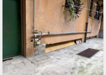 Shop Genova - photo 12