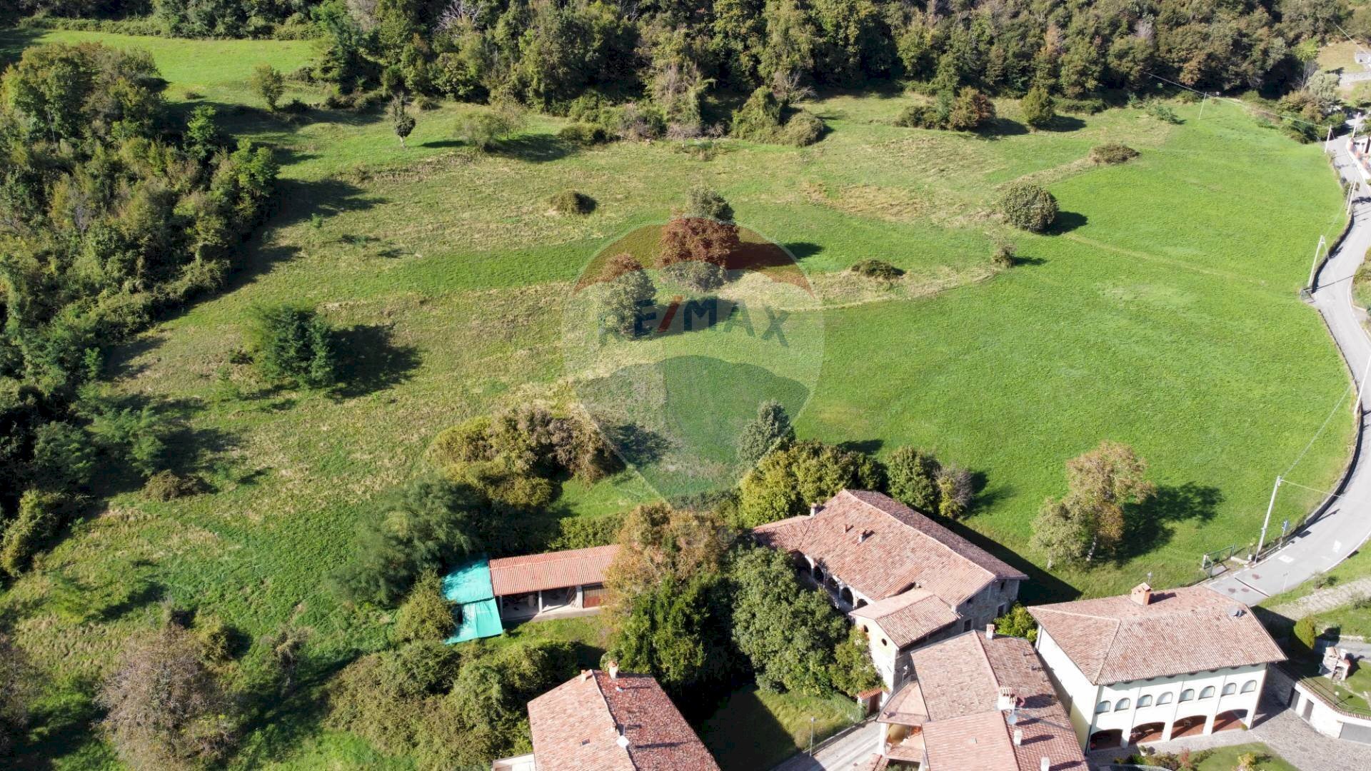 Terreno agricolo Endine Gaiano - foto 3