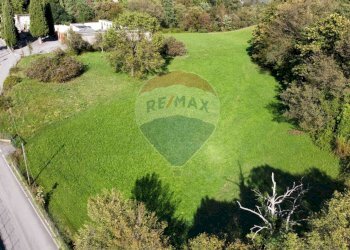 Terreno agricolo Endine Gaiano - foto 8