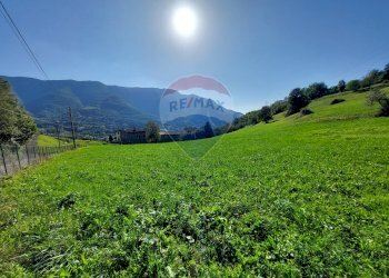 Terreno agricolo Endine Gaiano - foto 13