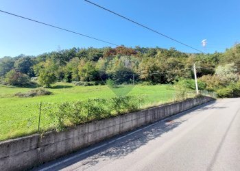 Terreno agricolo Endine Gaiano - foto 17