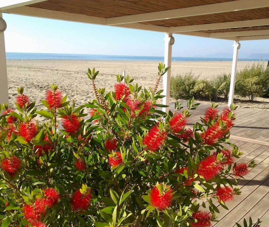 am12.jpg - Terratetto - Terracielo Ameglia - foto 2