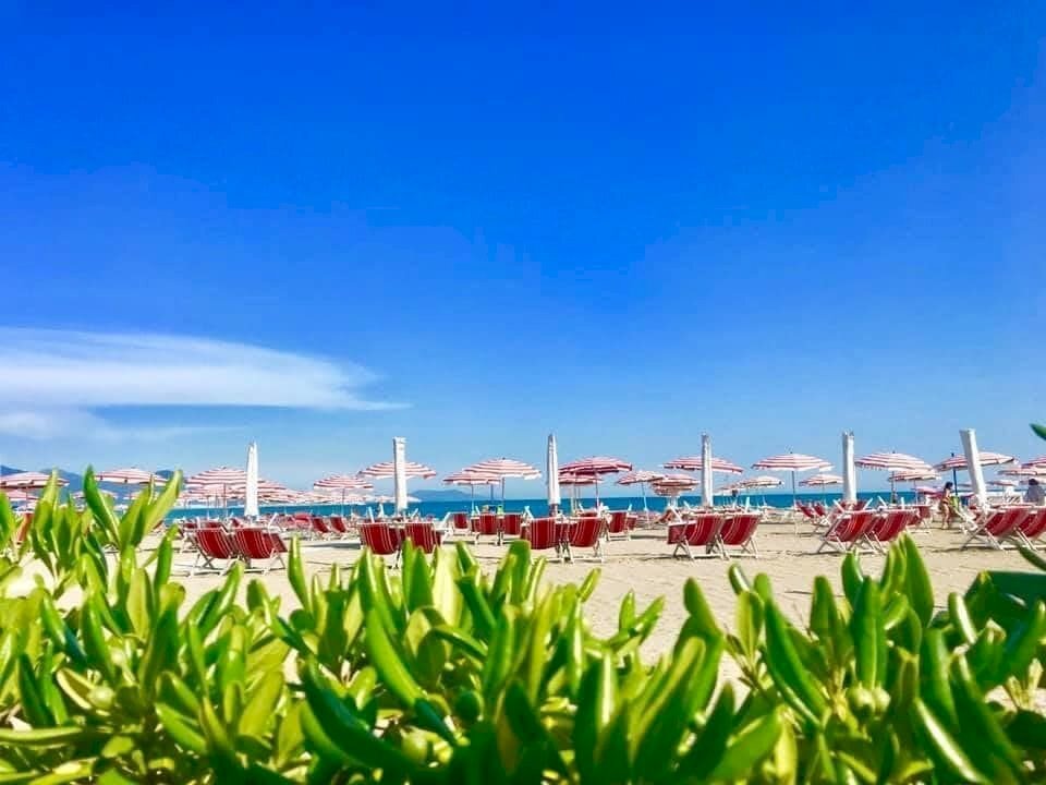 am15.jpg - Terratetto - Terracielo Ameglia - foto 3