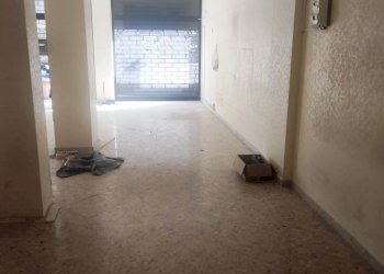 PHOTO-2023-10-10-10-53-26 (4).jpg - Locale Commerciale Via Brigata Bari 140, Bari - foto 5