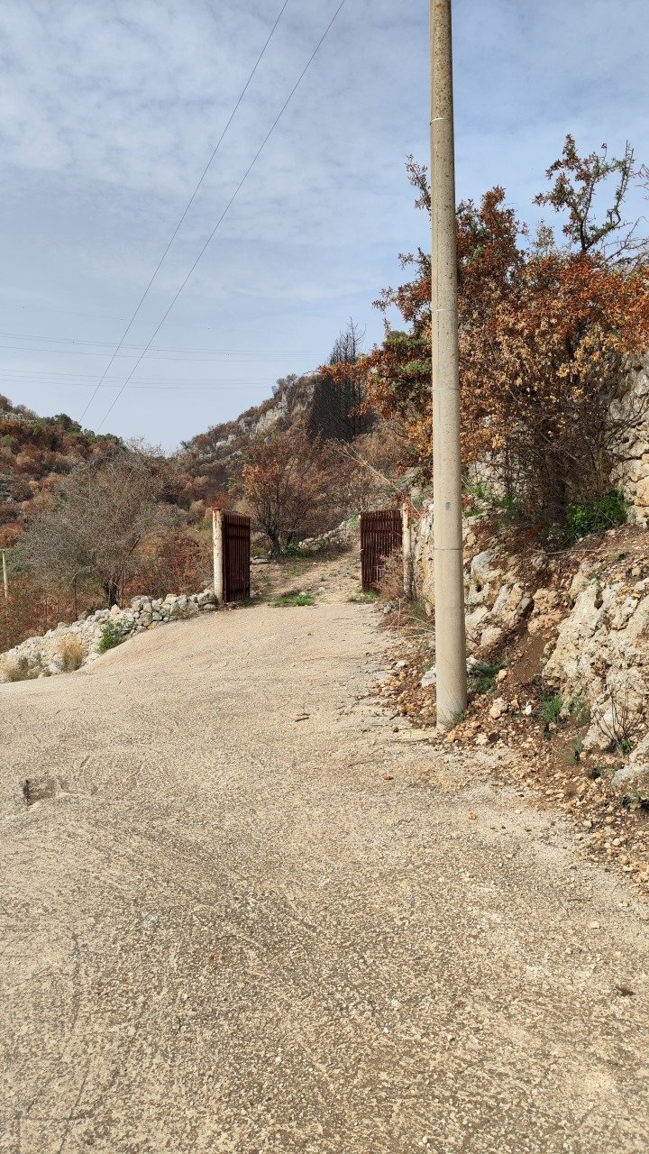 2.jpg - Terreno agricolo Melilli - foto 2