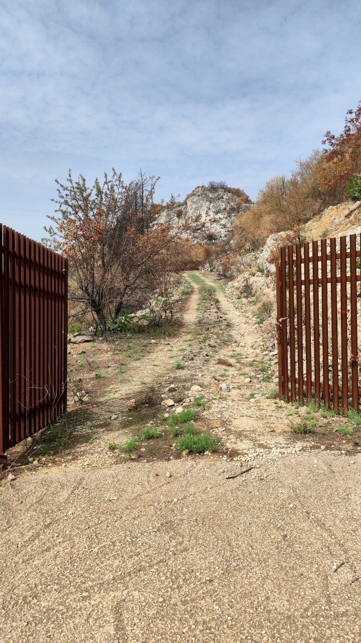 3.jpg - Terreno agricolo Melilli - foto 3