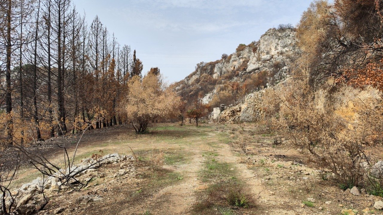 6.jpg - Terreno agricolo Melilli - foto 1