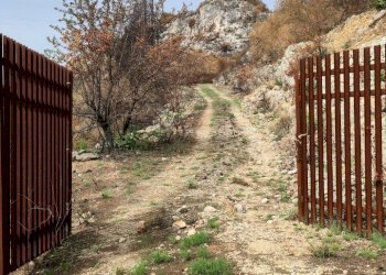 3.jpg - Terreno agricolo Melilli - foto 3