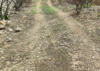 4.jpg - Terreno agricolo Melilli - foto 5