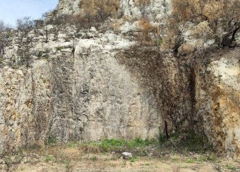 7.jpg - Terreno agricolo Melilli - foto 7