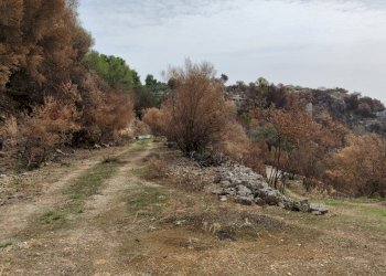 9.jpg - Terreno agricolo Melilli - foto 9