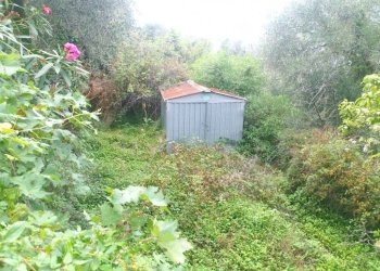 terreno (2).jpg - Rustico Via Principale 35, Pontedassio - foto 25