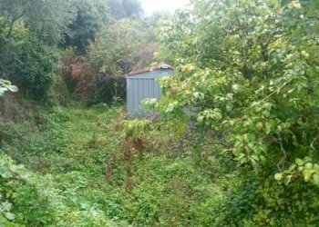 terreno (1).jpg - Rustico Via Principale 35, Pontedassio - foto 27