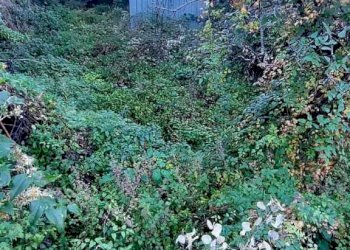 terreno - Rustico Via Principale 35, Pontedassio - foto 26