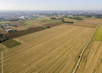 Terreno agricolo Forlì - foto 1