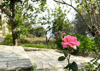 Casa indipendente Strada Suseneo Superiore, Sanremo - foto 10