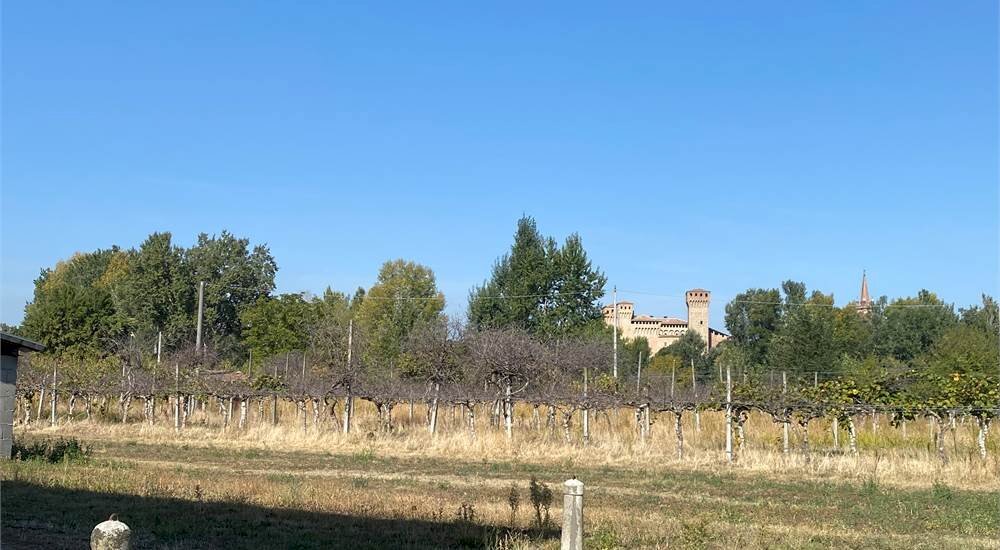 Rustic Vignola - photo 2
