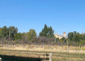 Rustic Vignola - photo 2