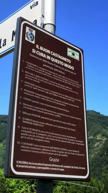 Terreno agricolo Castel del Rio - foto 3