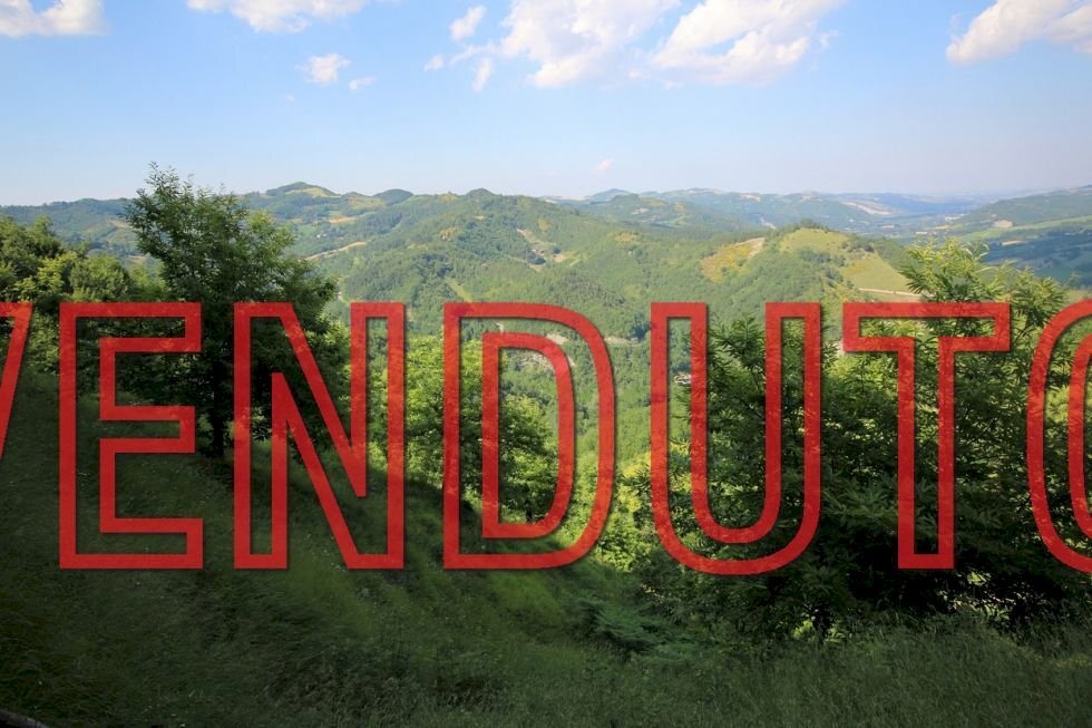 Terreno agricolo Castel del Rio - foto 1