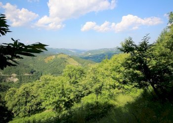 Terreno agricolo Castel del Rio - foto 4
