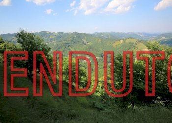 Terreno agricolo Castel del Rio - foto 1