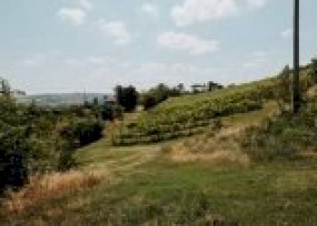 Casa indipendente Brisighella - foto 25