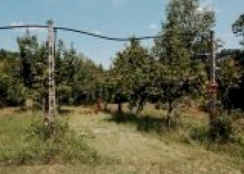 Casa indipendente Brisighella - foto 26