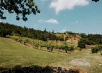 Casa indipendente Brisighella - foto 30