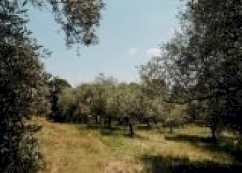 Casa indipendente Brisighella - foto 32