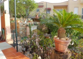 GIARDINO - Casa indipendente via Enrico Pietrafraccia, Ceriale - foto 5