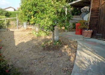 GIARDINO - Casa indipendente via Enrico Pietrafraccia, Ceriale - foto 8