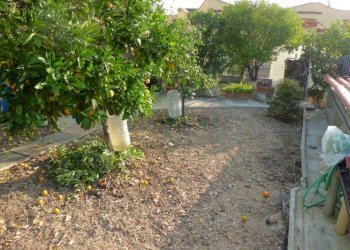 GIARDINO - Casa indipendente via Enrico Pietrafraccia, Ceriale - foto 9