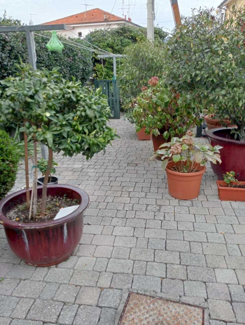 dd771149-af9d-4798-98c3-96926656581b.jpg - Casa semi indipendente Ameglia - foto 3