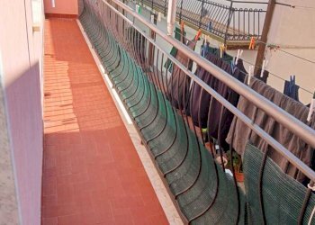 29938e31-4a19-4e70-9055-cd64b71eaca2.jpg - Terratetto - Terracielo Ameglia - foto 24